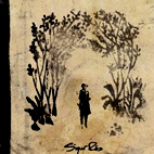 Sigur Rós: Takk...