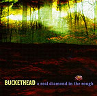 Buckethead: A Real Diamond in the Rough