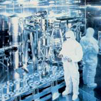 Porcupine Tree: Stupid Dream