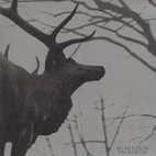 Agalloch: The Mantle