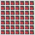 Dungen: 4