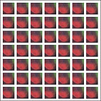 Dungen: 4