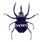 Saosin: Saosin