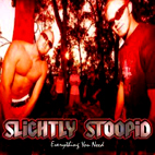 Slightly Stoopid: Everything You Need