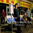 The Wallflowers: Breach