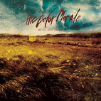 The Color Morale: We All Have Demons