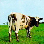 Pink Floyd: Atom Heart Mother