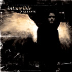Intangible: Elevate