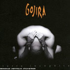 Gojira: Terra Incognita