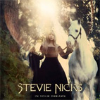 Stevie Nicks: In Your Dreams