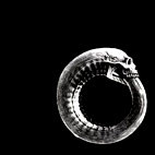 Turbonegro: Scandinavian Leather