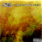311: Grassroots