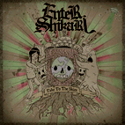 Enter Shikari: Take to the Skies