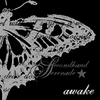 Secondhand Serenade: Awake