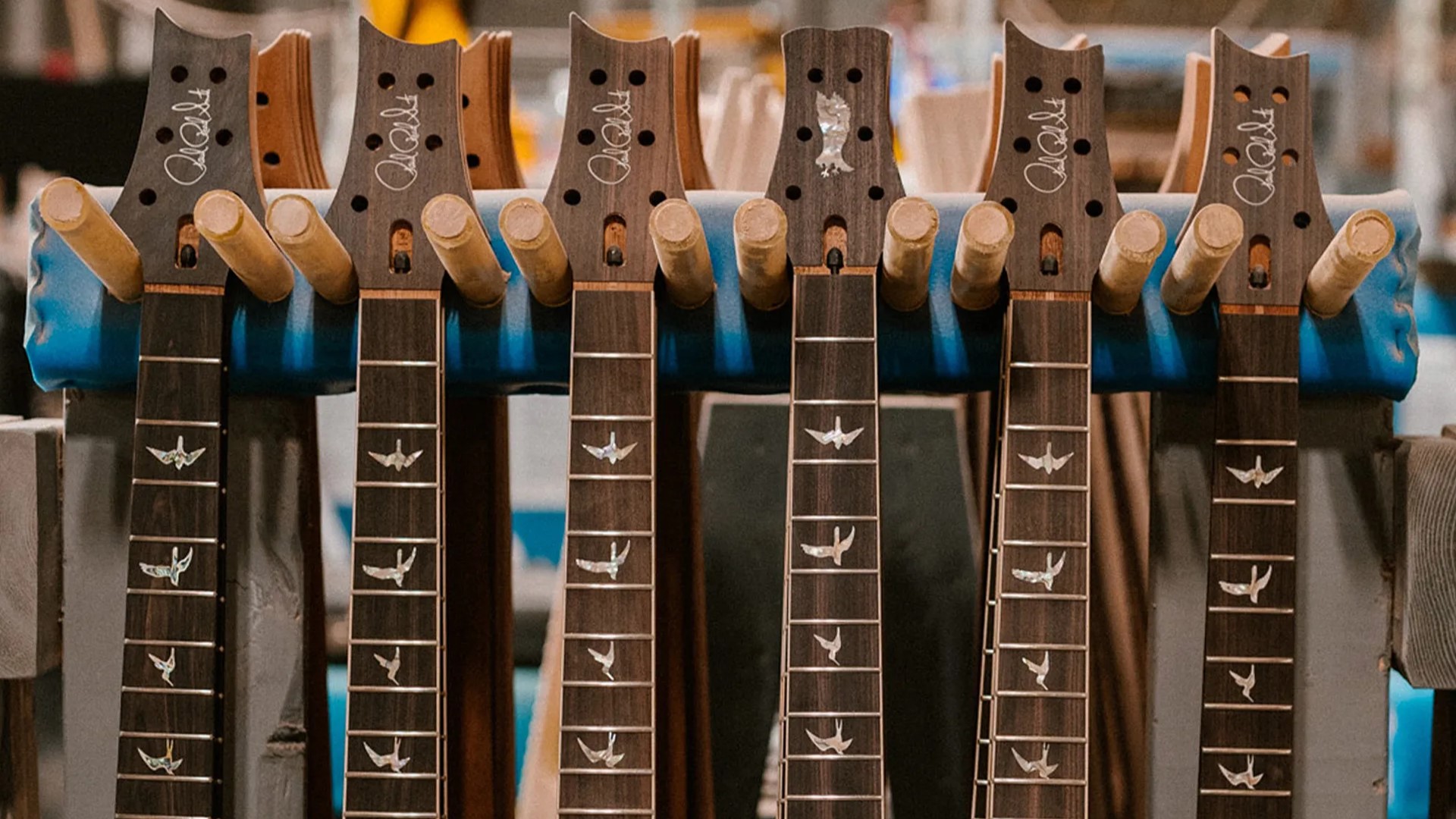 Why Do PRS Guitars Have Bird Inlays The Story Is Actually Pretty Wholesome and Heartwarming Ultimate Guitar