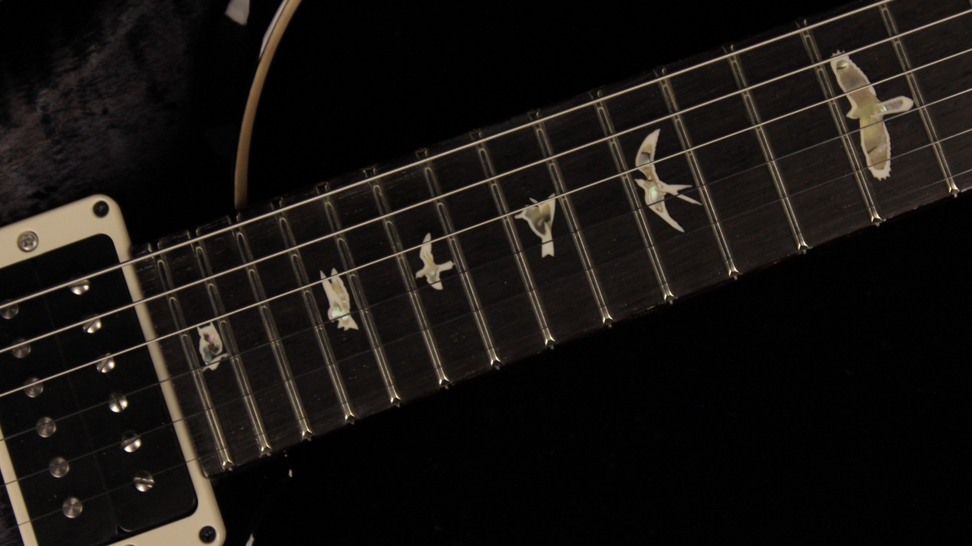 Why Do PRS Guitars Have Bird Inlays The Story Is Actually Pretty Wholesome and Heartwarming Ultimate Guitar
