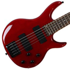 Stellah: Ripwood 5 String