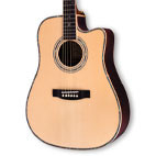 Zager: ZAD900CE