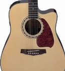 Ibanez: PF5CENT