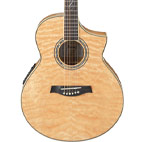 Ibanez: EW20QME