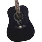 Ibanez: V200