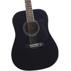 Ibanez: V200