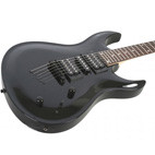 Washburn: WM10