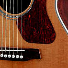 Walden: G730