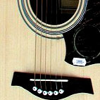 Tanglewood: Sundance