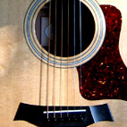 Taylor: 314CE