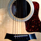 Taylor: 314CE