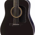 Washburn: D10SB