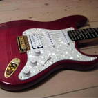 TTM Supershop Guitars: Slayer Ultra