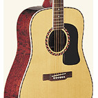 Washburn: D13