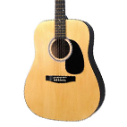 Squier: SA-100 Acoustic Starter Pack