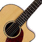 Breedlove: AD25/SM