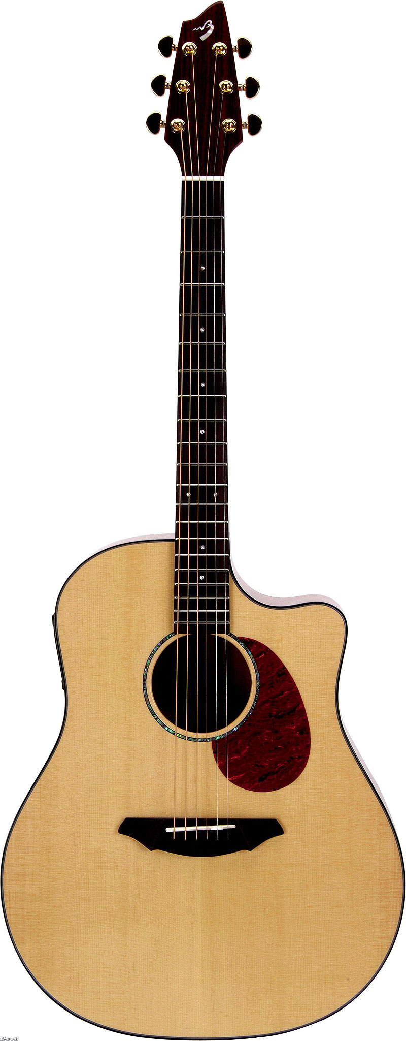 Breedlove ad25 new arrivals