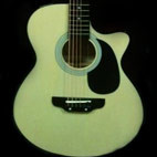 TGM: AG-1