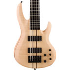 ESP: LTD Deluxe B-1005