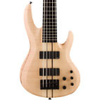 ESP: LTD Deluxe B-1005