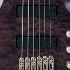 Ibanez: BTB406QM