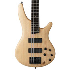 Ibanez: SR605