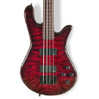 Spector: Legend 4 Classic