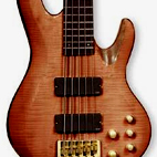 ESP: LTD B-305FM