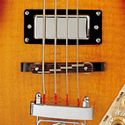 Epiphone: Viola Bass