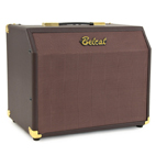Belcat: Acoustic 25C