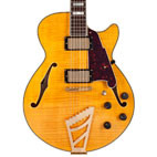 D'Angelico: EX-SS