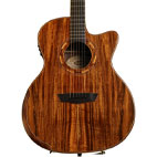 Washburn: WCG55CE