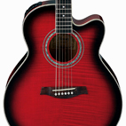 Ibanez: AEL20E