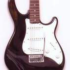 Peavey: Raptor